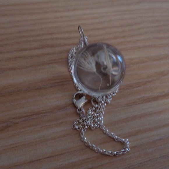 Transparent Glass Globe Real Dandelion Necklace - Picture 6 of 7